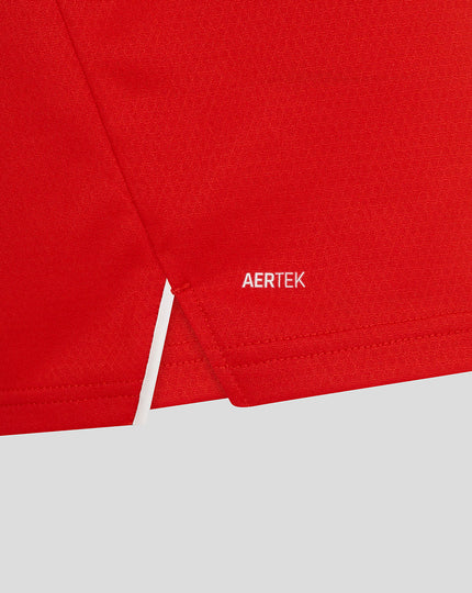 Mens 26/27 T20 Pro Long Sleeve Shirt - Red